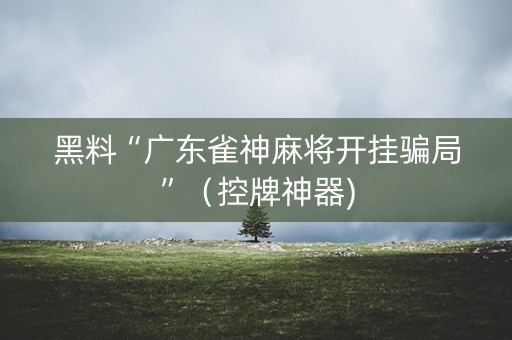 黑料“广东雀神麻将开挂骗局”（控牌神器)