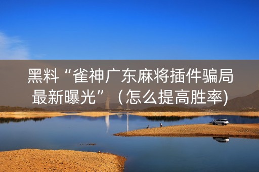 黑料“雀神广东麻将插件骗局最新曝光”（怎么提高胜率)