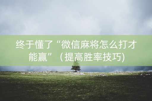 终于懂了“微信麻将怎么打才能赢”（提高胜率技巧)