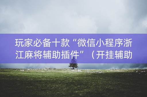 玩家必备十款“微信小程序浙江麻将辅助插件”（开挂辅助插件)