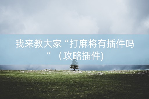 我来教大家“打麻将有插件吗”（攻略插件)