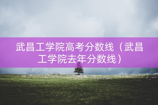 武昌工学院高考分数线（武昌工学院去年分数线）