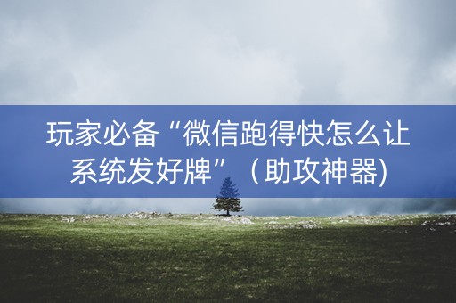 玩家必备“微信跑得快怎么让系统发好牌”（助攻神器)