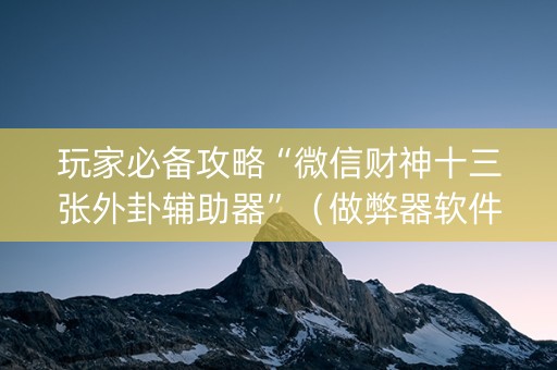 玩家必备攻略“微信财神十三张外卦辅助器”（做弊器软件下载)