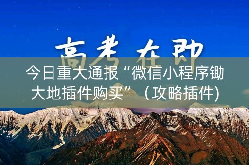 今日重大通报“微信小程序锄大地插件购买”（攻略插件)
