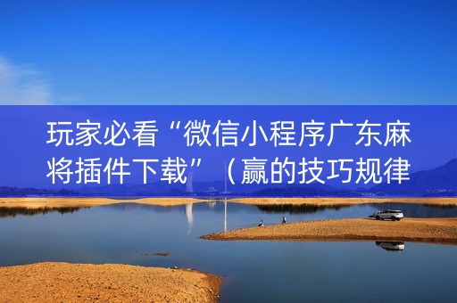 玩家必看“微信小程序广东麻将插件下载”（赢的技巧规律)