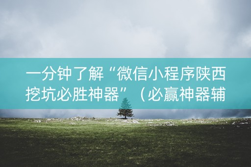 一分钟了解“微信小程序陕西挖坑必胜神器”（必赢神器辅助器)