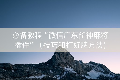 必备教程“微信广东雀神麻将插件”（技巧和打好牌方法)