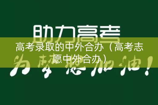 高考录取的中外合办（高考志愿中外合办）