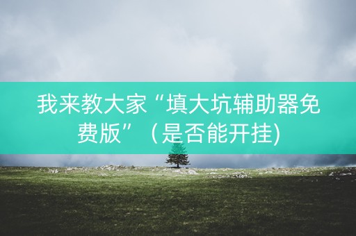 我来教大家“填大坑辅助器免费版”（是否能开挂)