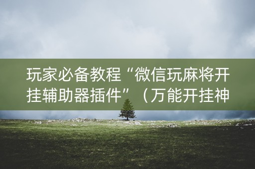 玩家必备教程“微信玩麻将开挂辅助器插件”（万能开挂神器)