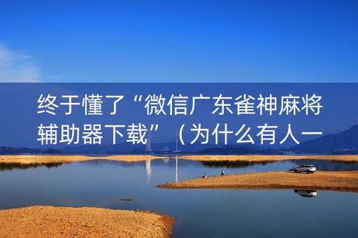 终于懂了“微信广东雀神麻将辅助器下载”（为什么有人一直赢)