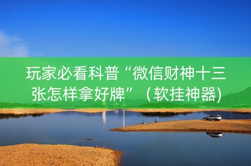 玩家必看科普“微信财神十三张怎样拿好牌”（软挂神器)