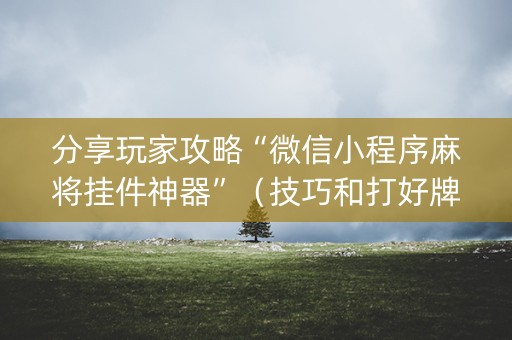 分享玩家攻略“微信小程序麻将挂件神器”（技巧和打好牌方法)