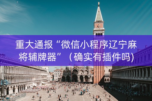 重大通报“微信小程序辽宁麻将辅牌器”（确实有插件吗)