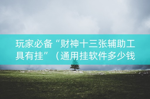 玩家必备“财神十三张辅助工具有挂”（通用挂软件多少钱)