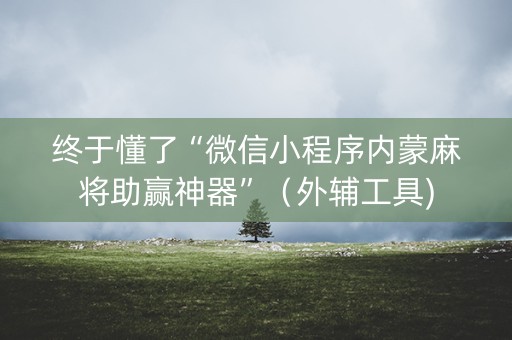 终于懂了“微信小程序内蒙麻将助赢神器”（外辅工具)