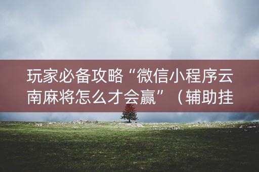玩家必备攻略“微信小程序云南麻将怎么才会赢”（辅助挂发牌规律)