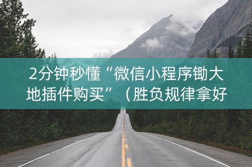 2分钟秒懂“微信小程序锄大地插件购买”（胜负规律拿好牌)