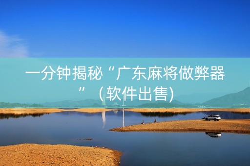 一分钟揭秘“广东麻将做弊器”（软件出售)