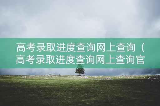高考录取进度查询网上查询（高考录取进度查询网上查询官网）