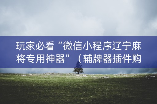 玩家必看“微信小程序辽宁麻将专用神器”（辅牌器插件购买)