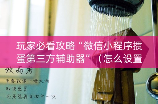 玩家必看攻略“微信小程序掼蛋第三方辅助器”（怎么设置能有好牌)