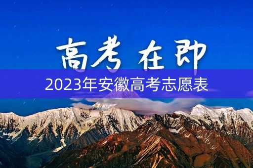 2023年安徽高考志愿表