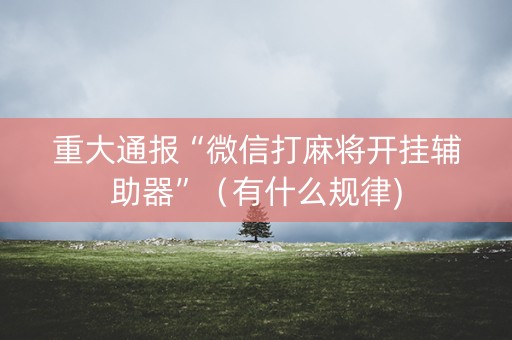 重大通报“微信打麻将开挂辅助器”（有什么规律)