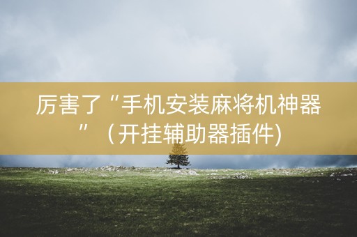 厉害了“手机安装麻将机神器”（开挂辅助器插件)