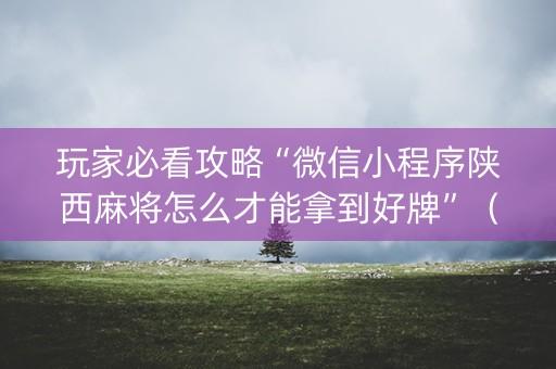 玩家必看攻略“微信小程序陕西麻将怎么才能拿到好牌”（开挂辅助插件)