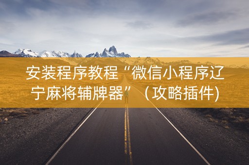 安装程序教程“微信小程序辽宁麻将辅牌器”（攻略插件)