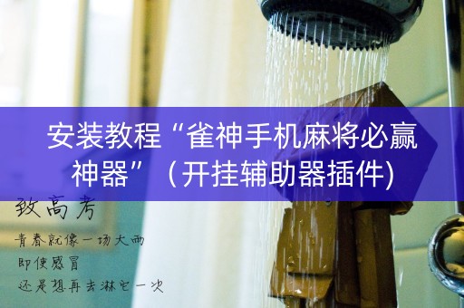 安装教程“雀神手机麻将必赢神器”（开挂辅助器插件)