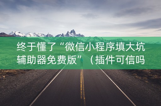 终于懂了“微信小程序填大坑辅助器免费版”（插件可信吗)