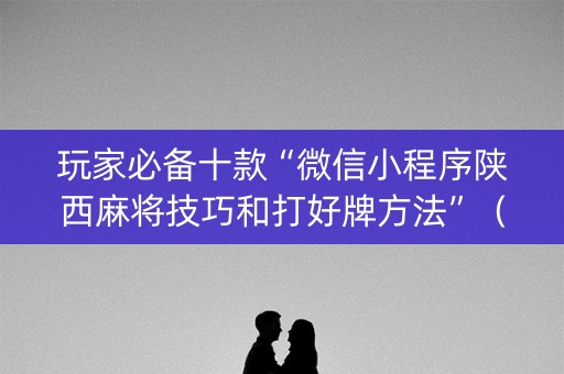玩家必备十款“微信小程序陕西麻将技巧和打好牌方法”（透明挂辅助器)