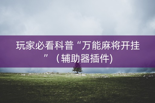 玩家必看科普“万能麻将开挂”（辅助器插件)