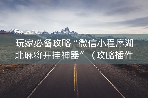 玩家必备攻略“微信小程序湖北麻将开挂神器”（攻略插件)