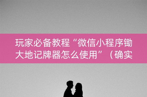 玩家必备教程“微信小程序锄大地记牌器怎么使用”（确实有插件吗)