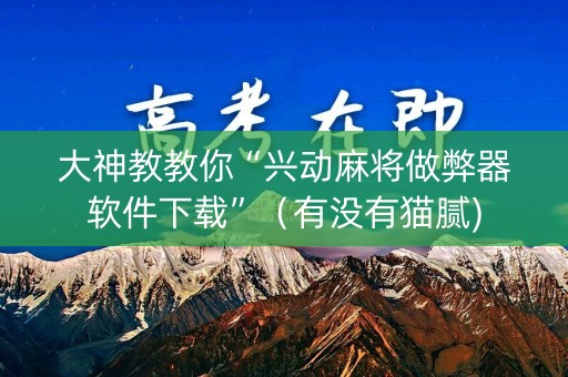 大神教教你“兴动麻将做弊器软件下载”（有没有猫腻)