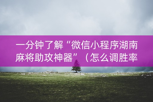 一分钟了解“微信小程序湖南麻将助攻神器”（怎么调胜率)