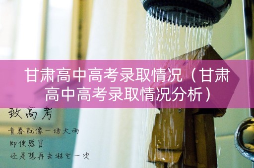 甘肃高中高考录取情况（甘肃高中高考录取情况分析）