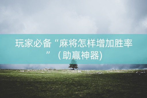 玩家必备“麻将怎样增加胜率”（助赢神器)