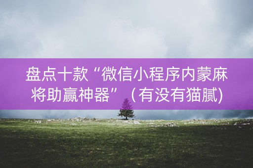 盘点十款“微信小程序内蒙麻将助赢神器”（有没有猫腻)