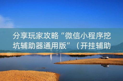 分享玩家攻略“微信小程序挖坑辅助器通用版”（开挂辅助插件)