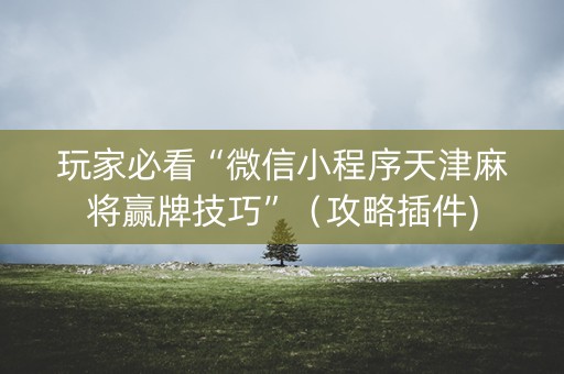 玩家必看“微信小程序天津麻将赢牌技巧”（攻略插件)