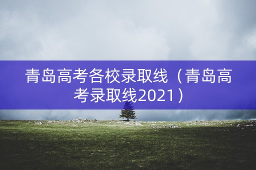 青岛高考各校录取线（青岛高考录取线2021）