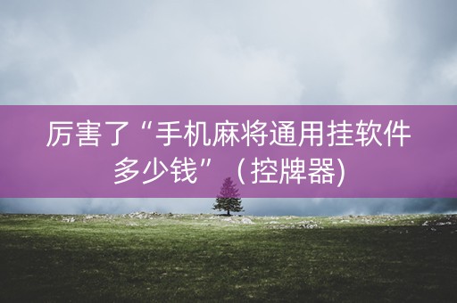厉害了“手机麻将通用挂软件多少钱”（控牌器)