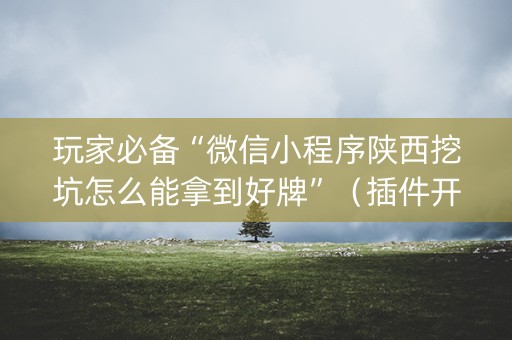 玩家必备“微信小程序陕西挖坑怎么能拿到好牌”（插件开挂免费AI)