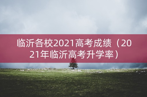 临沂各校2021高考成绩（2021年临沂高考升学率）