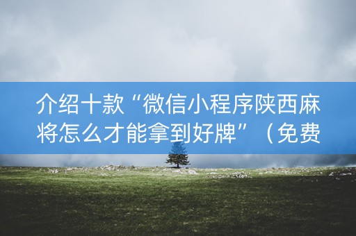 介绍十款“微信小程序陕西麻将怎么才能拿到好牌”（免费辅助)